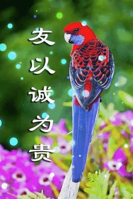 464_696竖版 竖屏gif 动态图 动图