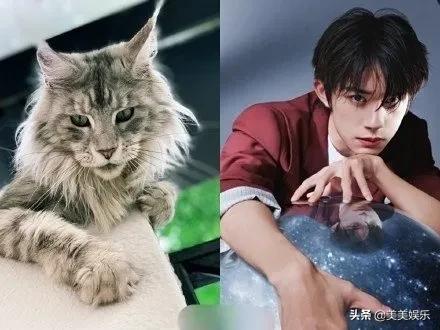 在线自夸？学员撞脸导师霸占热搜，他们竟这么