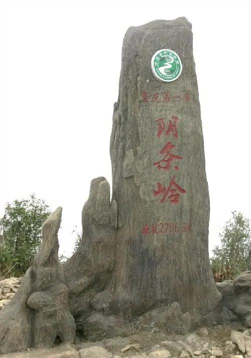 重庆海拔最高峰上有什么？
