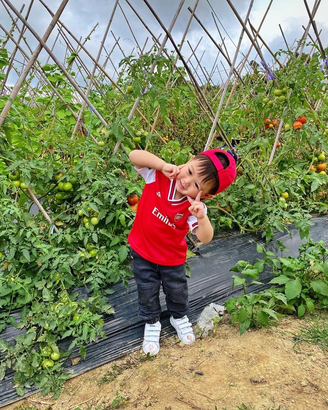 胡杏儿老公强迫看电视的儿子自拍，奕霆眼睛斜视露职业假笑超可爱