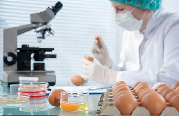 澳洲12家农场爆发沙门氏菌感染！至少3人吃超市鸡蛋中标