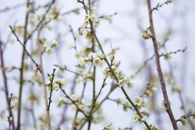 2020年上半年东莞市G_东莞市地图(2)