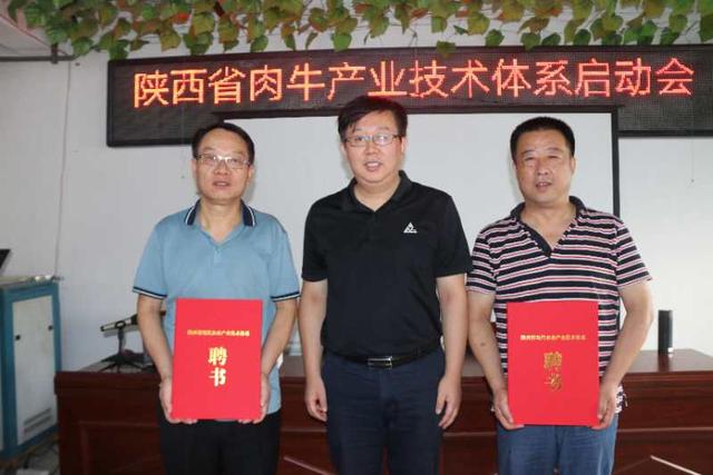 把论文写在三秦大地上——陕西省肉牛产业技术体系启动会在永寿县举行