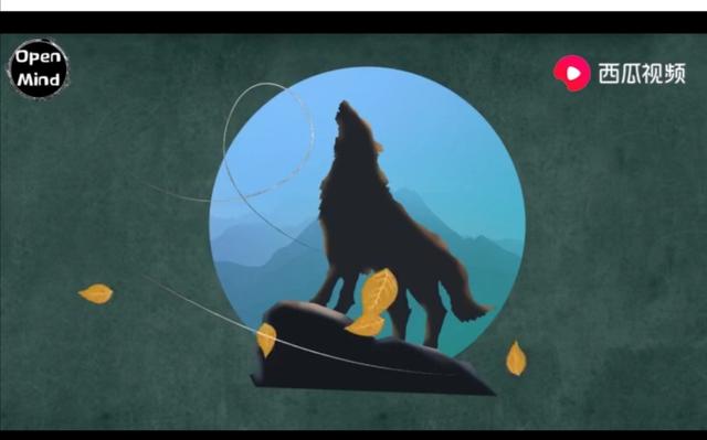 狗的进化史：狼到到底是怎么变成狗的？在西瓜视频里有了完美答案