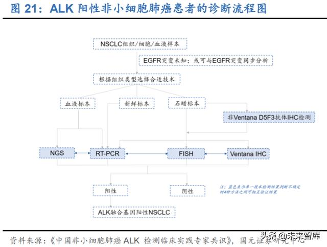 分子诊断行业深度研究及投资策略：精准医疗，看PCR还是NGS