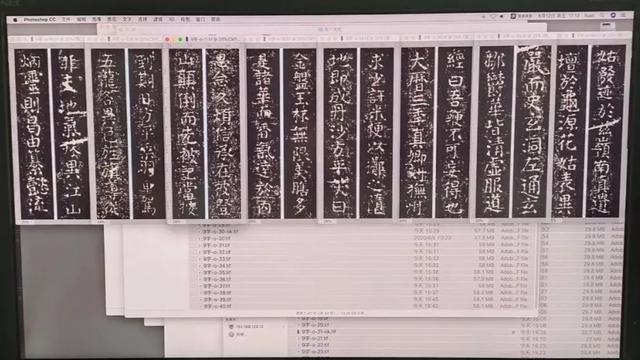 ベストコレクション 日本女子体育大学倍率