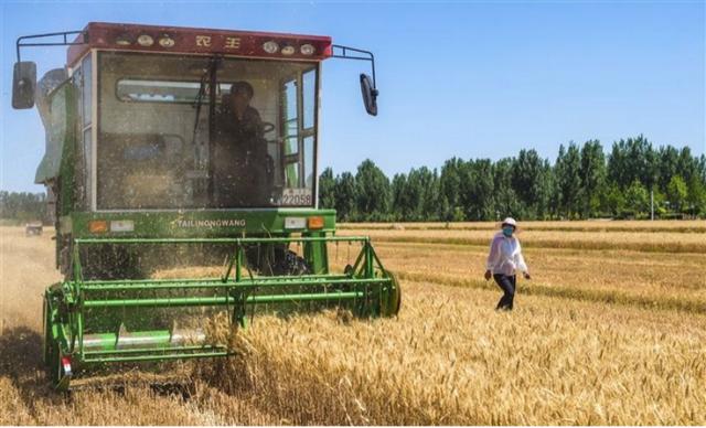 北斗导航拖拉机、手机智慧监控，一场农业变革正在中国农村爆发