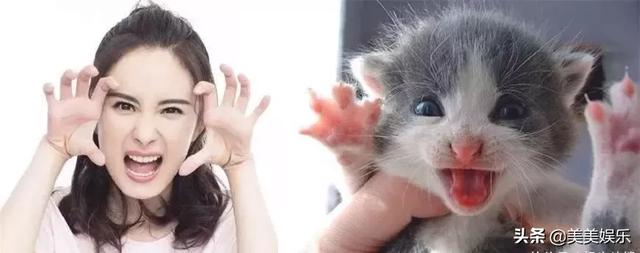 在线自夸？学员撞脸导师霸占热搜，他们竟这么