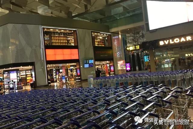 经历了三次购机票 三次被取消 终于从新加坡回中国 新华侨网