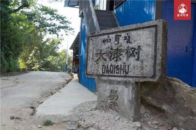 2020年易武春尖|要喝口粮茶,先从这款最优惠的下手