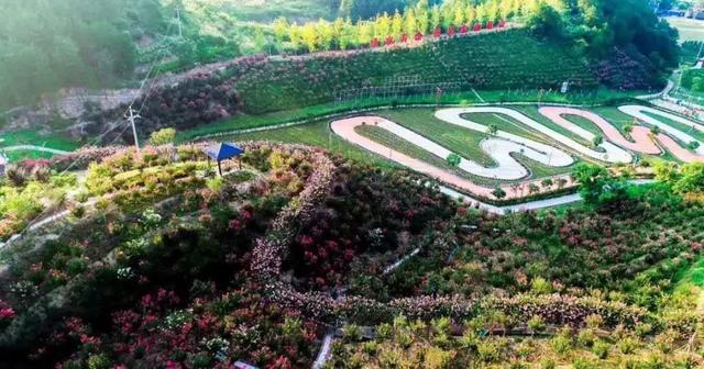 与爱同行 惠游湖北 | 英山四季花海免门票预约火爆 秩序井然