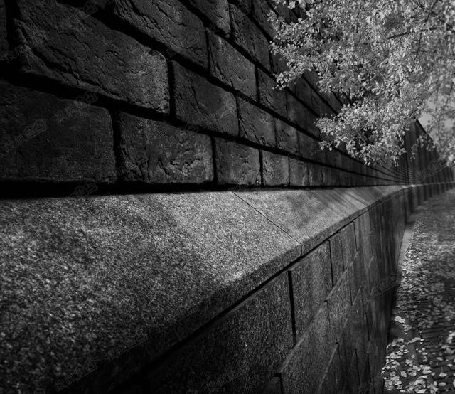 连院墙都如此极奢,可见主人何等尊贵.