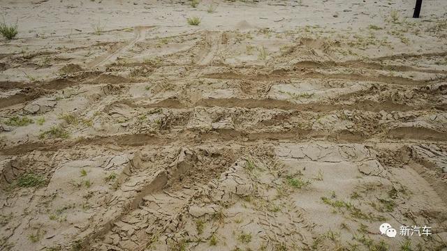 越野女孩奥利奥与她的红色猛禽沙漠绿洲“泡沙泉”（上集）