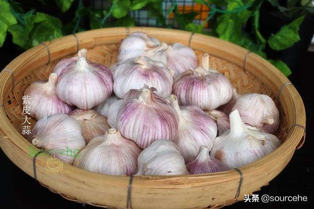 大蒜的这三种存放方法，任意一种，放一年依旧新鲜不长芽，太赞了
