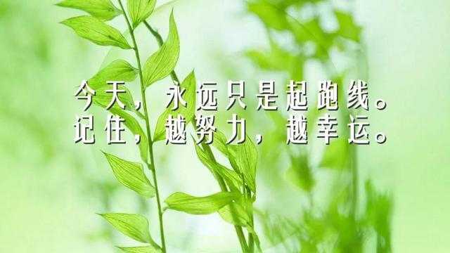 阳光的心态经典语录励志感悟10句阳光正能量经典语录