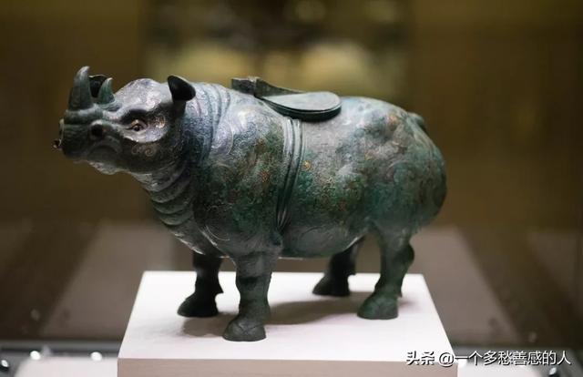 中国犀牛消亡史：5000年来，我们都灭绝了什么？