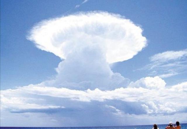 �ƶ������