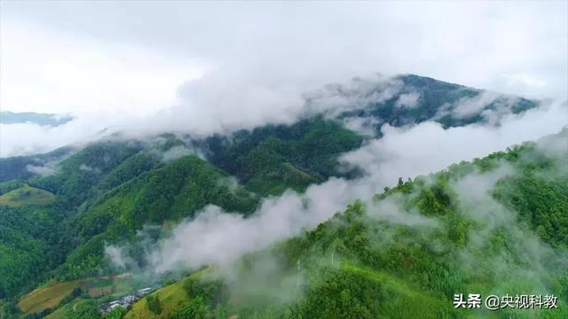 中国影像方志｜确山：竹沟传唱红色史诗 铁花耀眼夺目