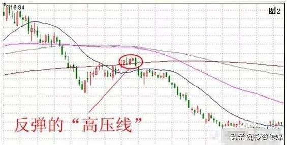 社保基金收益或创新纪录！二季度追买大消费+医药股，谁会涨成下一只“千元茅台股”（附名单一览）