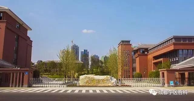 这是天府七中的开校典礼上,新区领导对区域教育概况作的一个总结,不难