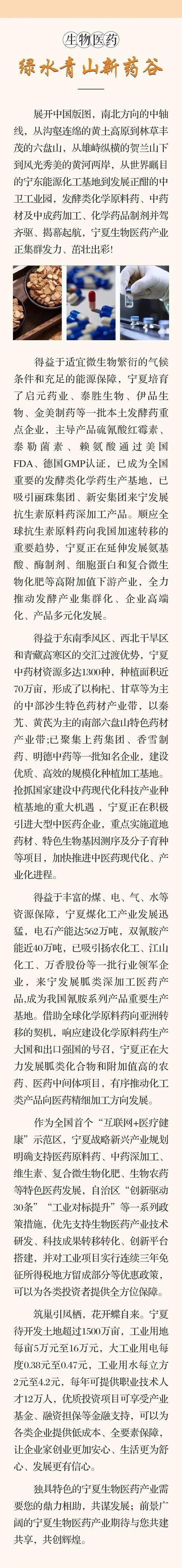 2020年宁夏重点产业招商引资项目册——新能源 生物医药 先进装备制造