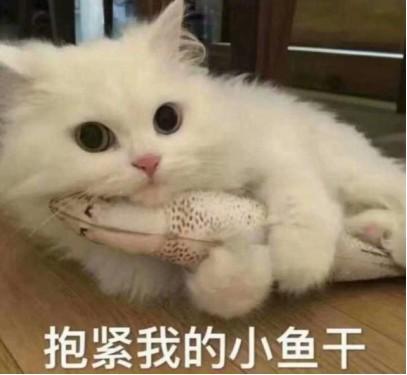 特别想买医药主题基金，应该怎么投？