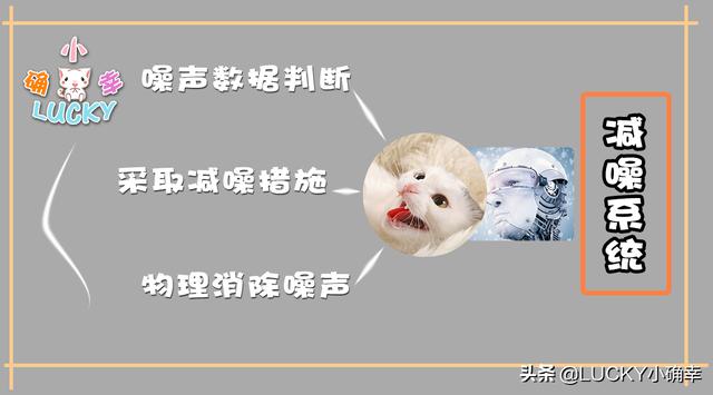 没想到吧？“智能家居”助力“无忧养猫”，铲屎官搓手期待