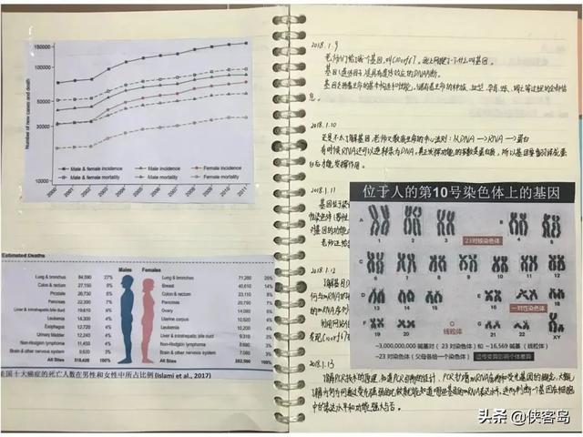 侠客岛：“神童”的最高境界，是拼爹？