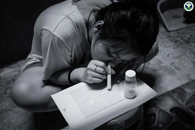 禁毒作品展丨震撼人心用镜头传递禁毒正能量