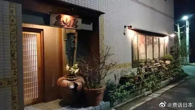 日本文化人文油腻天麸罗变清新艺术品（炸苏子叶包海胆就是个发明