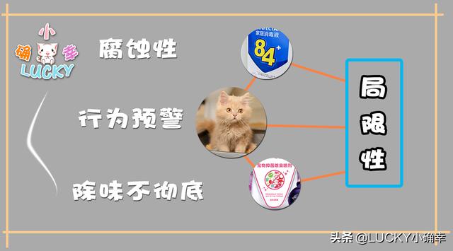 没想到吧？“智能家居”助力“无忧养猫”，铲屎官搓手期待