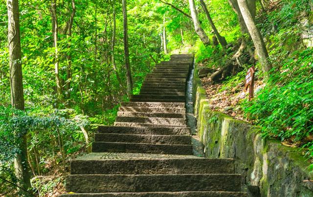 宁波避暑攻略，这个网红景区私藏了25℃的艳阳天，还能看高山云海