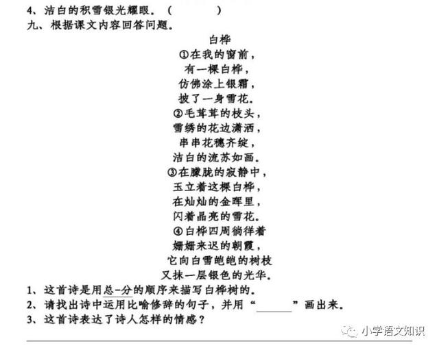 白桦 同步练习 跟我学语文