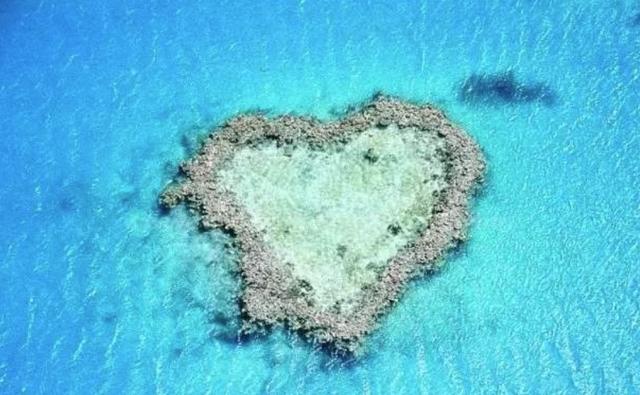 澳海外游客下滑6成，大堡礁水族馆获260万额外资金支持