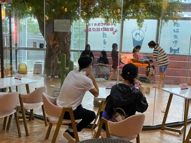 蔡少芬夫妇带孩子到乐园玩，被拍到私下相处细节，当众拥抱太恩爱