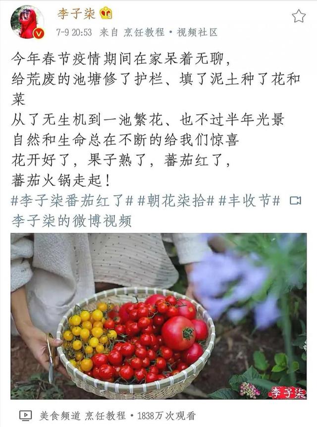 李子柒番茄红了上热搜 时刻头条自媒体：李子柒晒美食馋哭网友