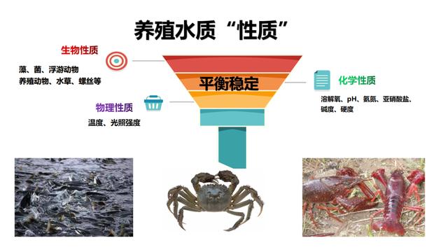 看一池水，一学就会，从此不坏水，不坏底。