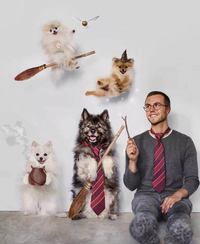 狗狗模仿主人拍照惊动网红界一家子都是戏精