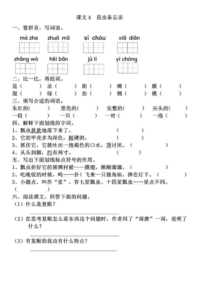 《昆虫备忘录》同步练习