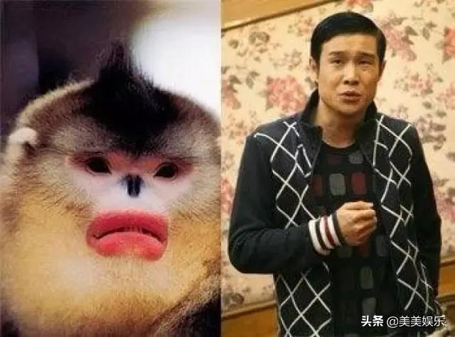 在线自夸？学员撞脸导师霸占热搜，他们竟这么