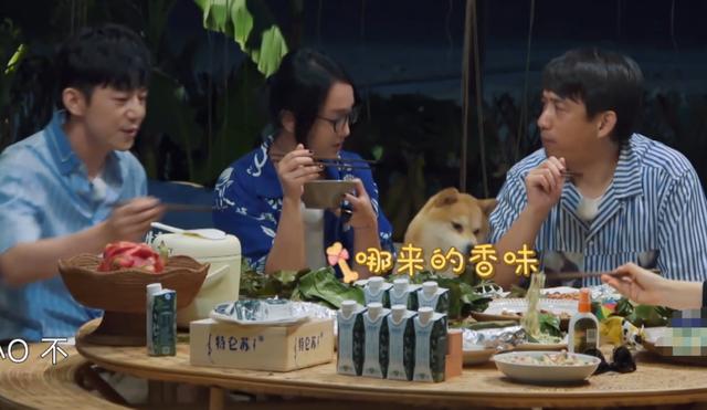 《向往4》黄磊做烧包菜被夸上天，当导演关掉美