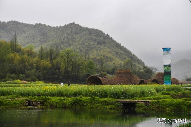 生态文明之光照耀美丽中国——写在绿水青山就是金山银山理念提出15周年之际