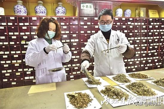 内江4家单位荣获“四川省中医药传承创新发展先进集体”