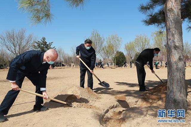 习近平参加首都义务植树活动(图7)