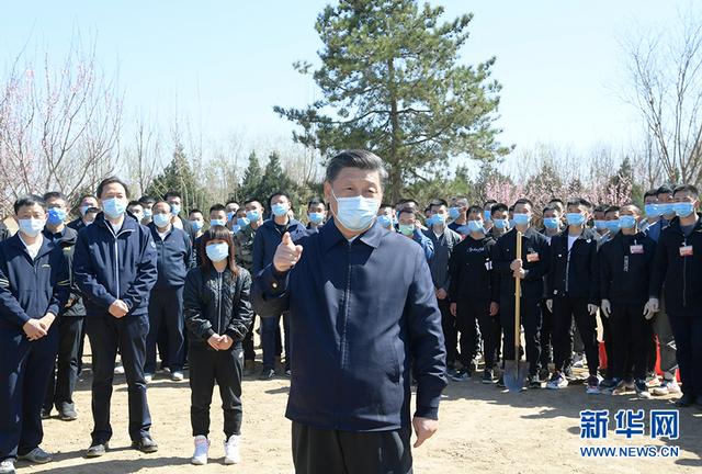 习近平参加首都义务植树活动强调 打造青山常在绿水长流空气常新美丽(图12)