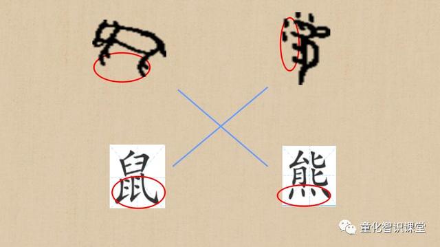 (2)出示甲骨文的熊和鼠,让学生猜读哪个是熊(四点底像熊掌),哪个是鼠