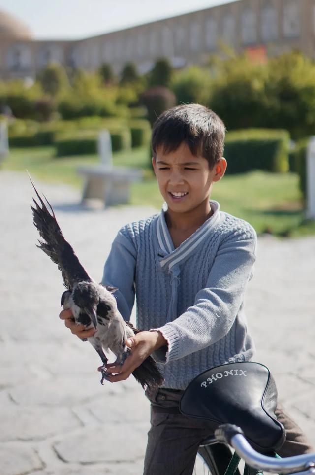 伊朗这里和想象的不太一样