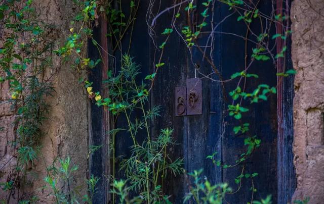 边建设，边运营，这个田园综合体，没开园就接待了120W人