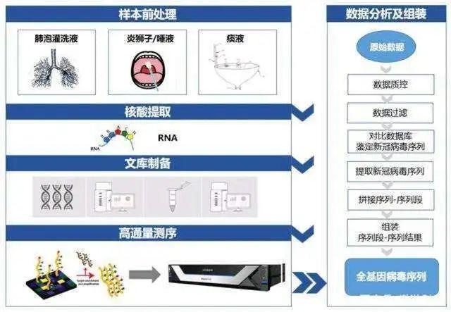 如果核酸检测不能百分百精准，谁来担纲神助攻？