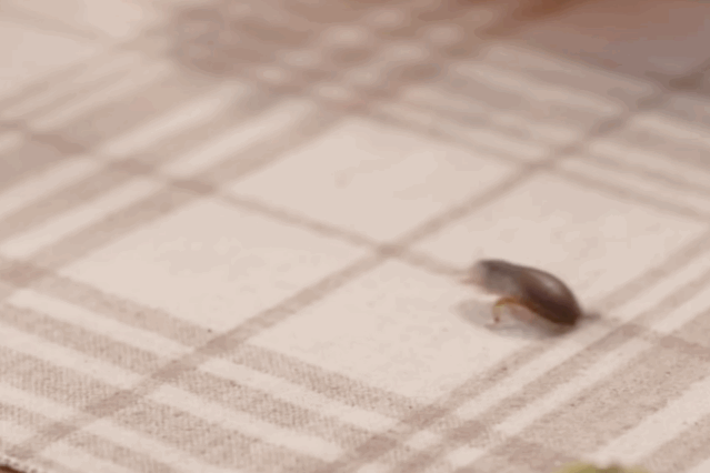 再现瞪眼式演技？严肃探讨一下，杨超越演技到底怎么样